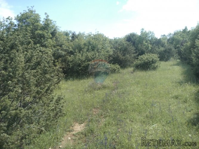 ISTRA, PINEZIĆI POLJOPRIVREDNO ZEMLJIŠTE - 2