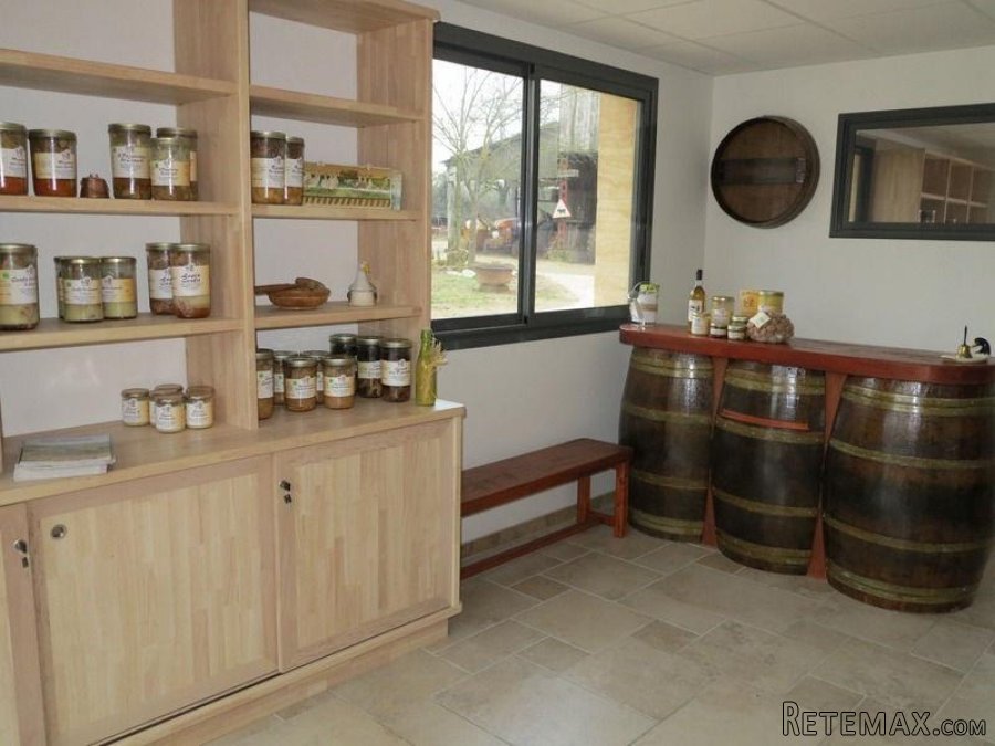 Near Domme (Dordogne) - 10 bed property is located in the most.. - 10