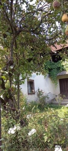 Velika Gorica, Bukevje - kuća sa zemljištem 22, 269 m2 - 2