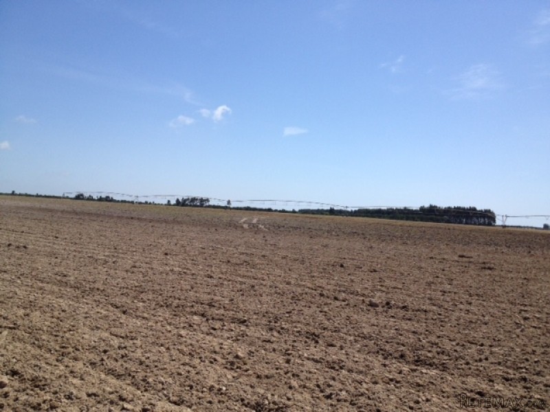 Farm S. Teotonio - Odemira - 2