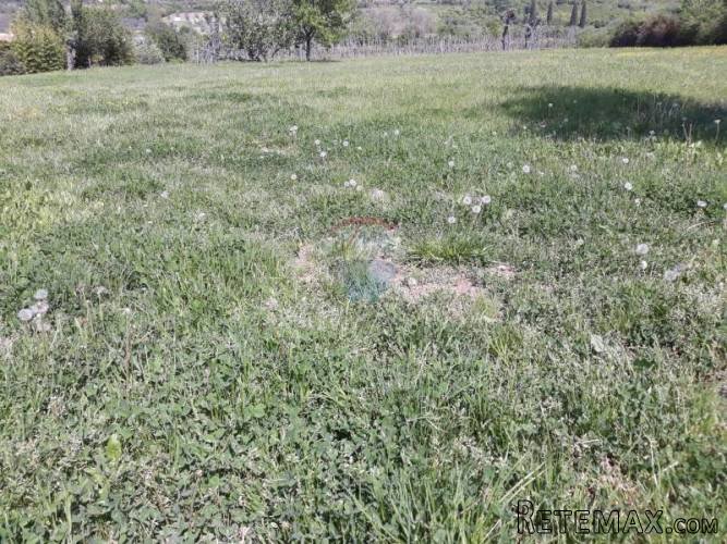 Istra, Brtonigla lijepo građevinsko zemljište - 3