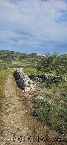 Primošten, maslinik s pogledom na more - 3