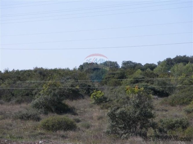 Pula, Galižana, poljoprivredno zemljište 115000 m2 - 4