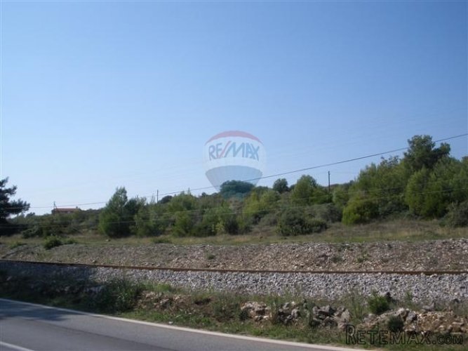 Pula, Galižana, poljoprivredno zemljište 115000 m2 - 3