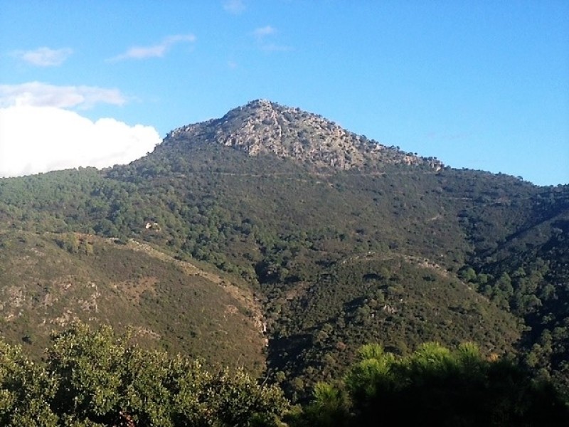 743158 - Plot For sale in Benahavis.. - 2