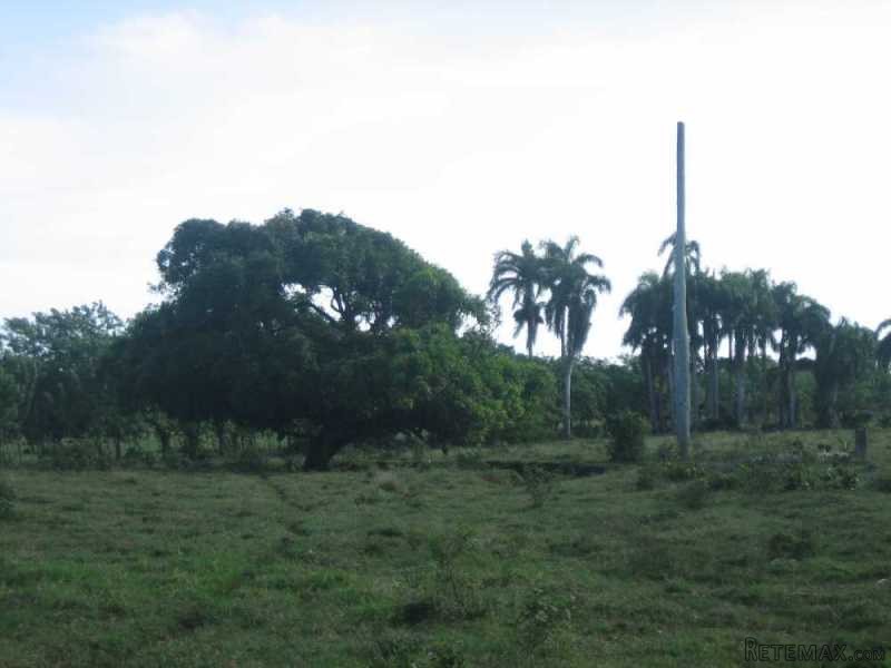 Development Land In Cabarete - 2