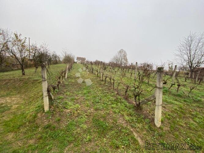 GRAĐEVINSKO ZEMLJIŠTE 1115m2 - LOKACIJA SA POGLEDOM! - 3