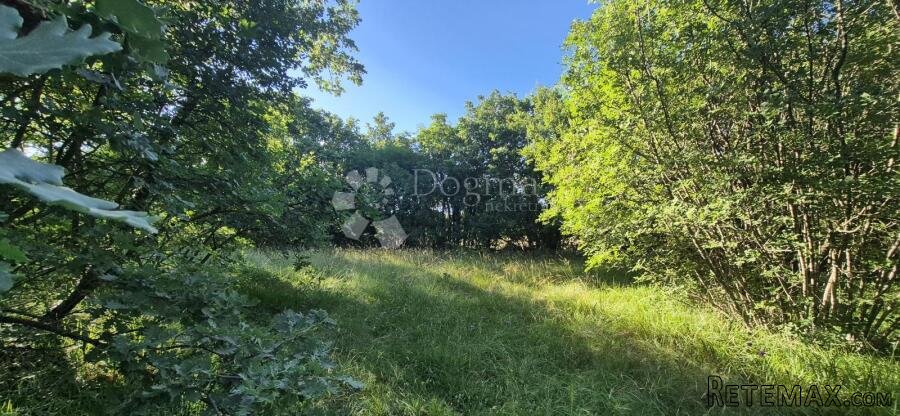 Kombinirano građevinsko 830 m2 i 472 m2 poljoprivrednog zeml - 2