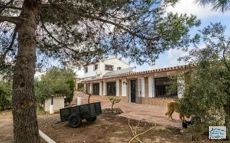 Country Properties for sale in TINAHOE..