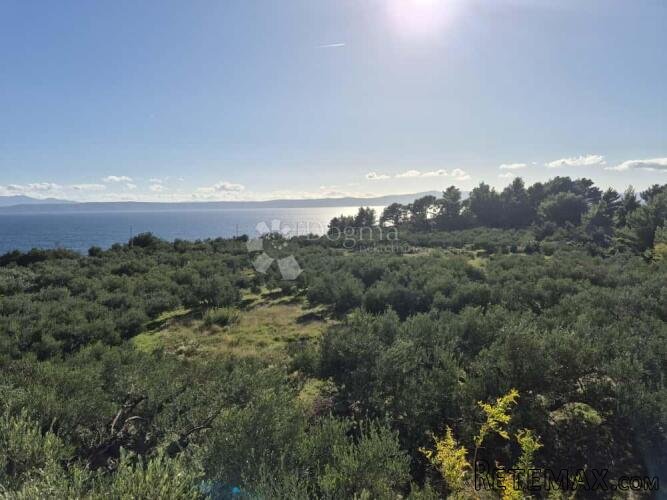 Jedinstveno građevinsko zemljište u Podgori — 6.356 m² blizu