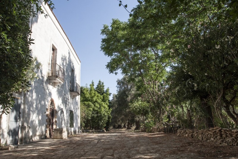 V000203 , Wonderful Masseria At Short.. - 2