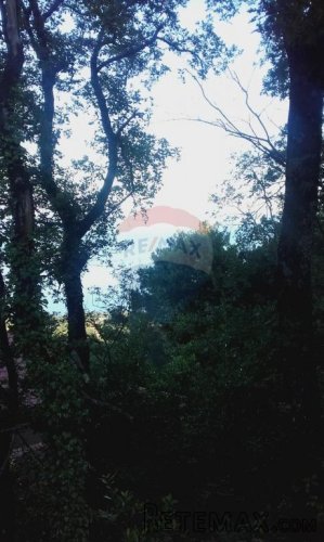 Lovran/Dobreć - Teren 1177m2 prekrasan pogled na cijeli Kvar - 5