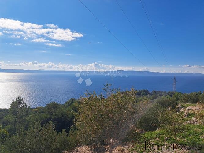 Uređeni maslinik s predivnim pogledom – 896 m², Podgora