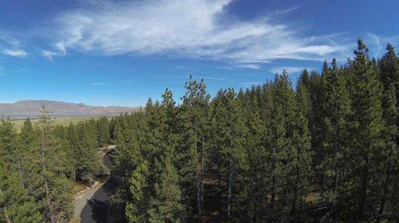 Land For Sale: Washoe Valley, Nevada