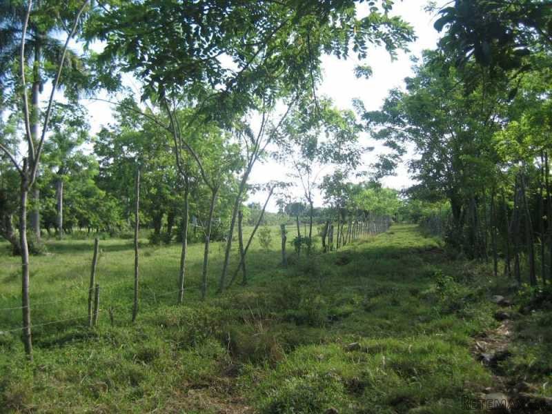 Development Land In Cabarete