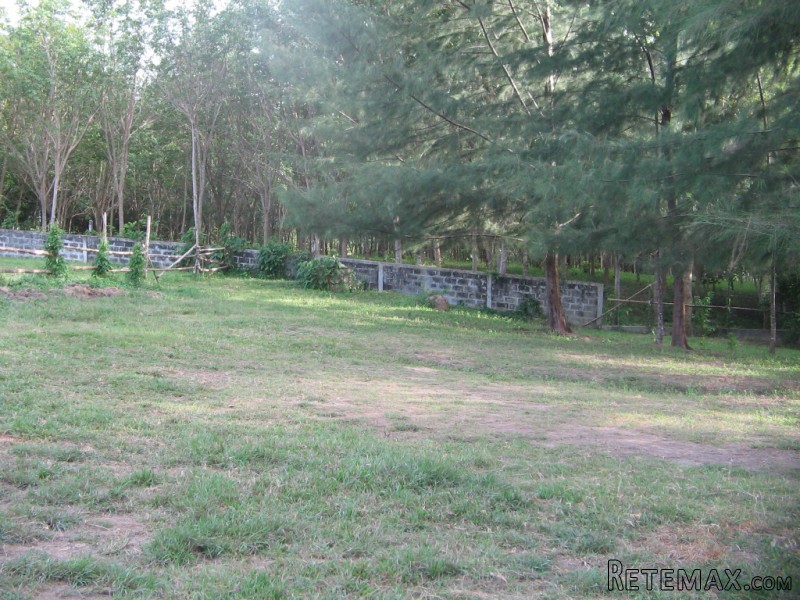 4 Rai Flat Land in Layan - Great Value!