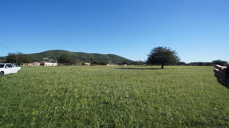 7 bedroom Plot For Sale: Santa Eulalia..