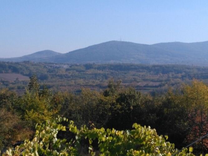 Na prodaju plac (suma) u Sopotu