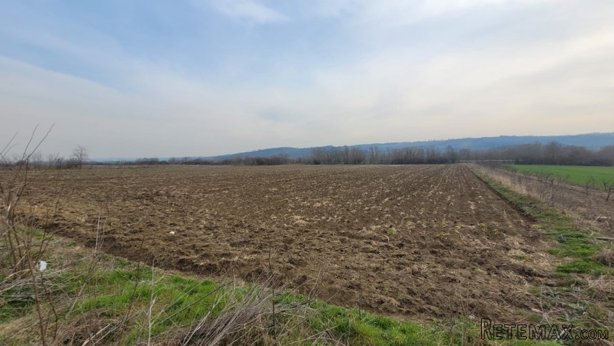 Parcela 1.8hektara (visokonaponska struja) ravna - 2