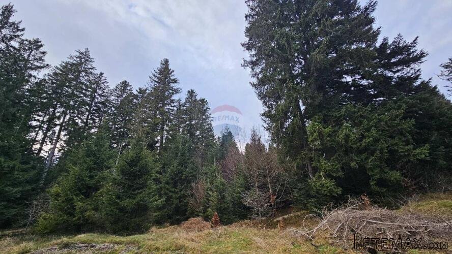 Investicijsko zemljište, Sunger, Gorski kotar, 9500 m2 - 3