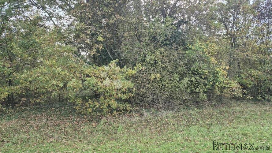 Poljoprivredno zemljište nedaleko mjesta Pusti 8182 m2