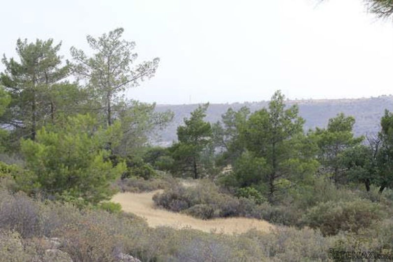 Land - Limassol - For Sale