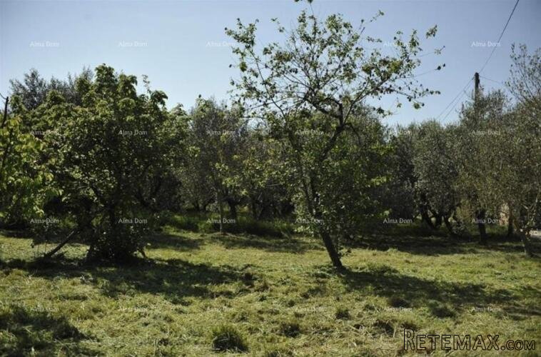 LOBORIKA - Građevinsko i poljoprivredno zemljište