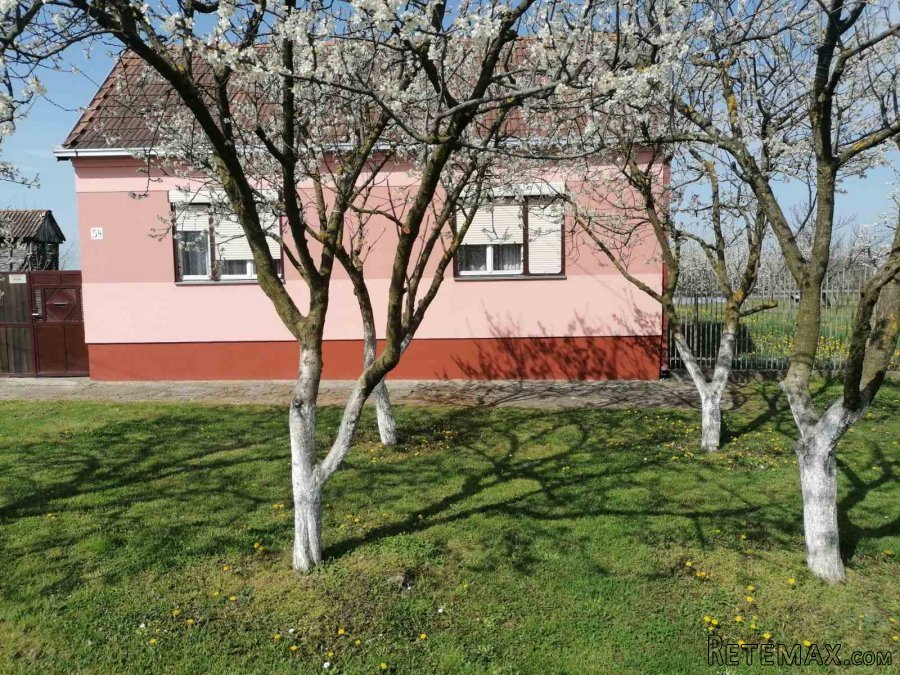 Prodajem porodicnu kucu Hrtkovci-Ruma - 2