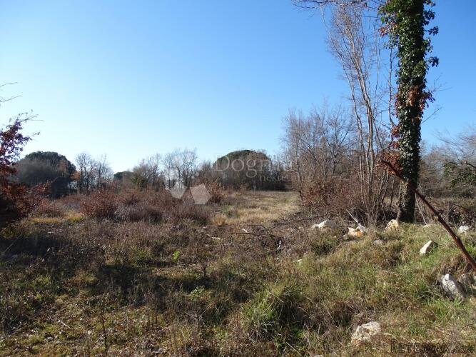 Višnjan - ravan teren blizu Poreča za gradnju vila - 2
