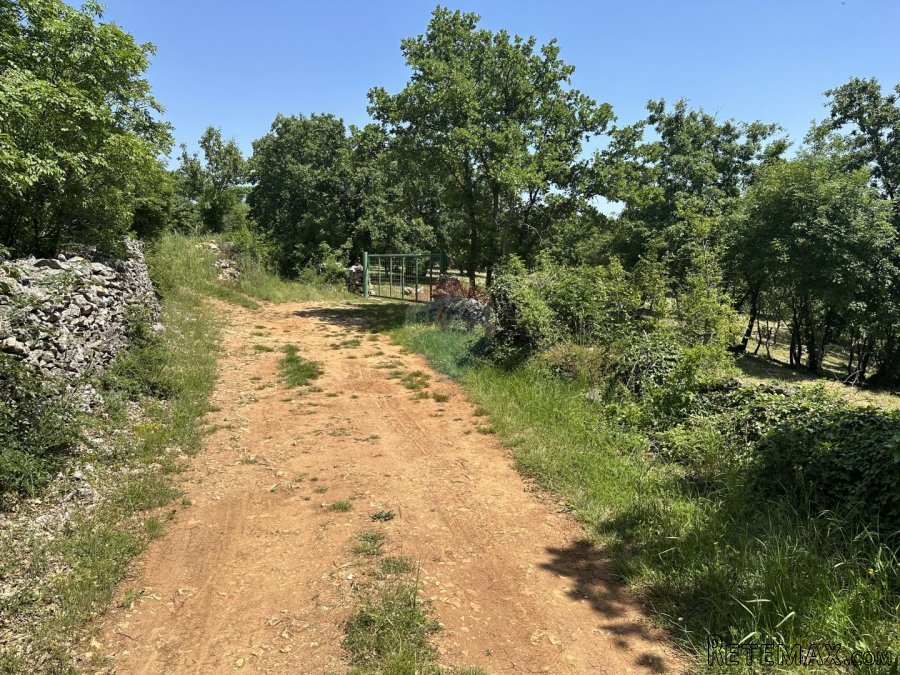 ISTRA, MARČANA - Parcela na osami na lijepoj i mirnoj lokaci - 6