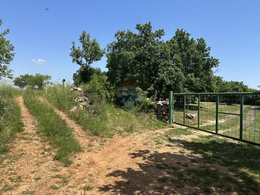 ISTRA, MARČANA - Parcela na osami na lijepoj i mirnoj lokaci - 7