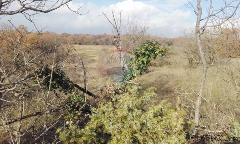 ISTRA, DUGA UVALA, građevinsko zemljište pored asfalta - 3