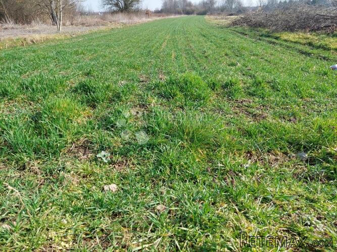 Zemljište u Biškupcu - 3