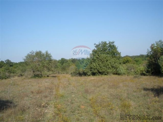 Pula, Galižana, poljoprivredno zemljište 115000 m2