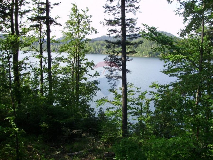 Šuma uz jezero-mogućnost zamjene - 2