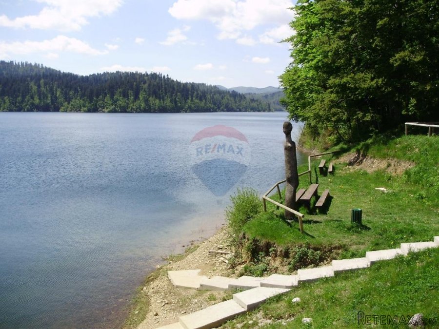 Šuma uz jezero-mogućnost zamjene - 3