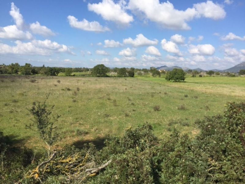 Plot Of Land Of 15,000 M2