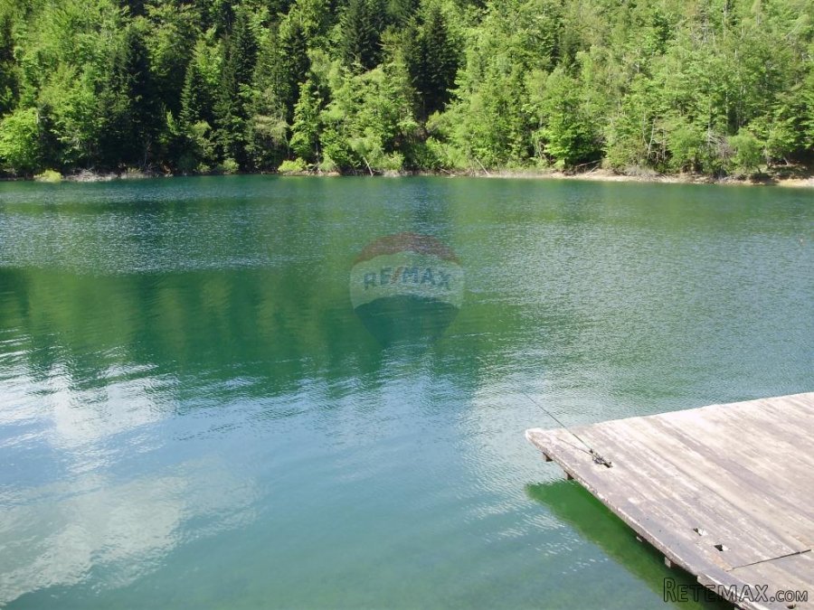 Šuma uz jezero-mogućnost zamjene - 4