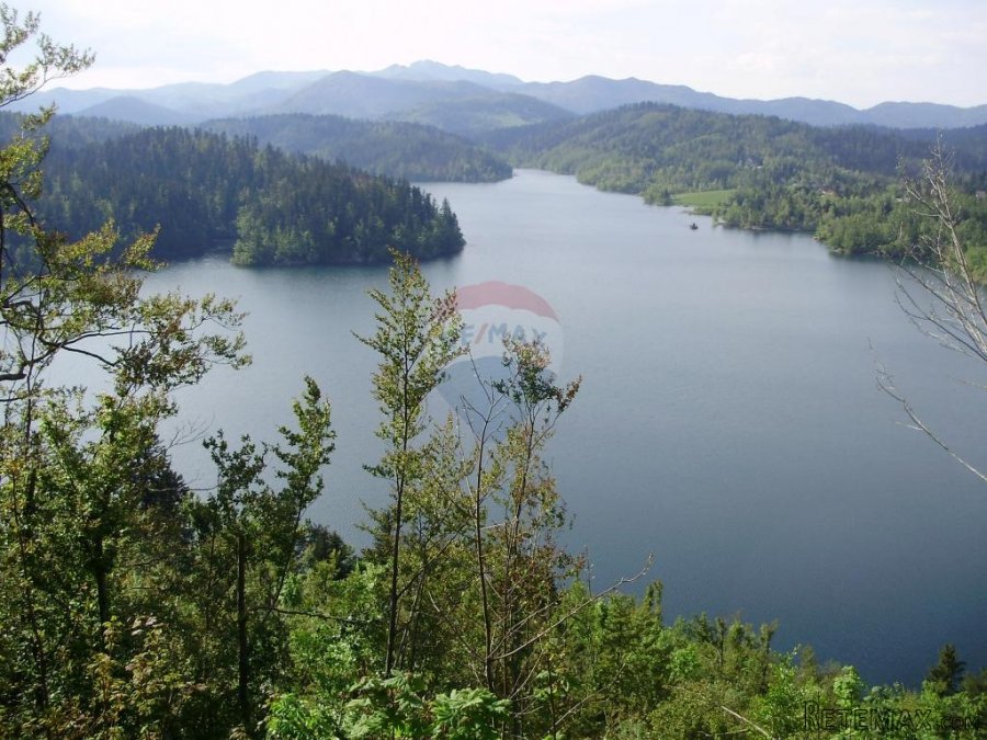 Šuma uz jezero-mogućnost zamjene - 5