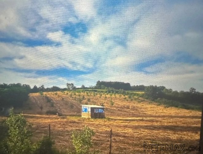 Prodajem zemljiste od 178ari Jasenak-Obrenovac