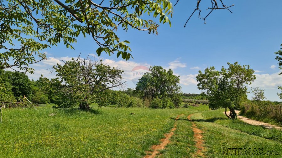 Poreč okolica: Građevinsko zemljište 7 km od Poreča