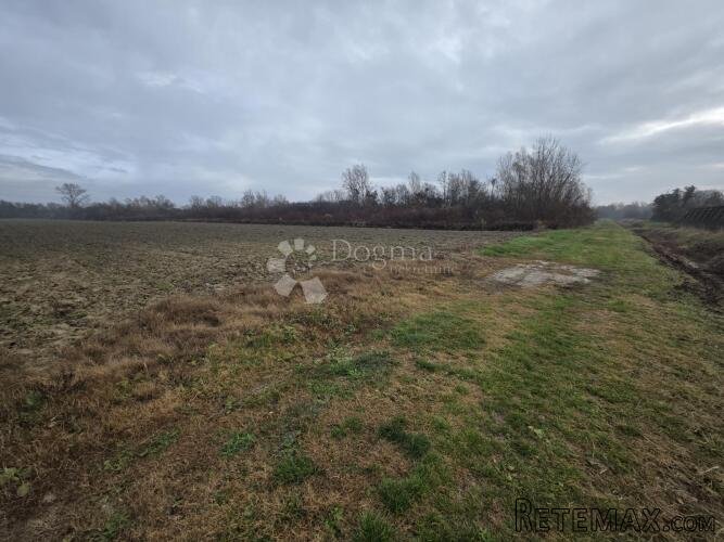 Velike poljoprivredne parcele 9.859m² u mirnom okruženju bli - 2