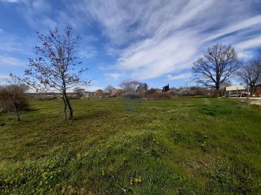 Istra, Baderna okolica građevinska parcela - 3