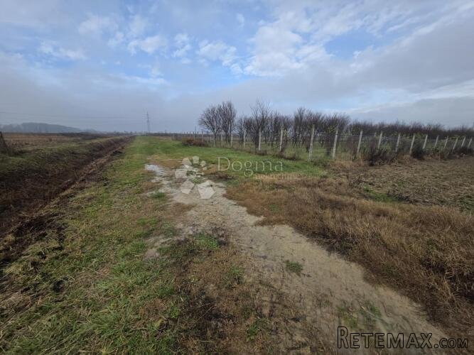 Velike poljoprivredne parcele 9.859m² u mirnom okruženju bli - 3