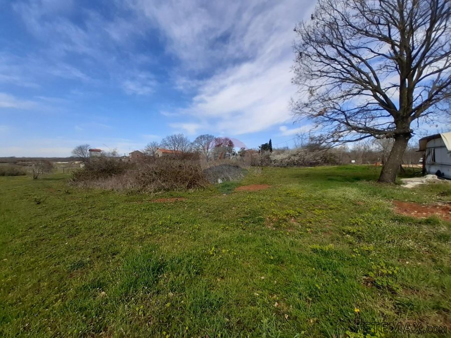 Istra, Baderna okolica građevinska parcela - 4