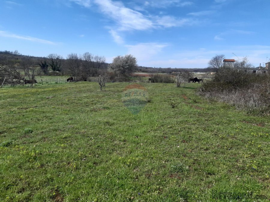 Istra, Baderna okolica građevinska parcela - 5