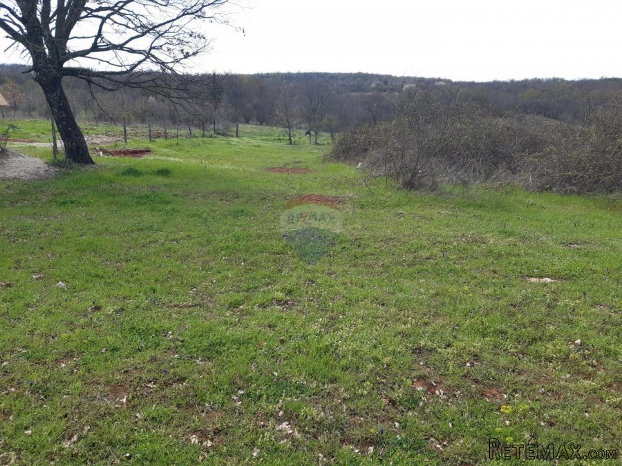 Istra, Baderna okolica građevinska parcela - 6