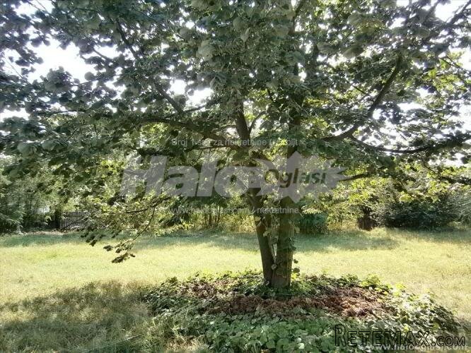 Na prodaju kuca i plac u Smederevskoj Palanci - 5