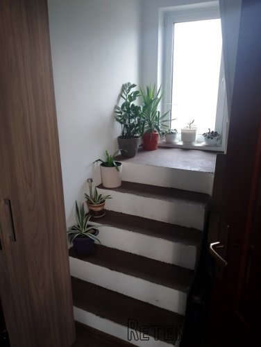 Prodajem kucu u Staroj Pazovi - 8