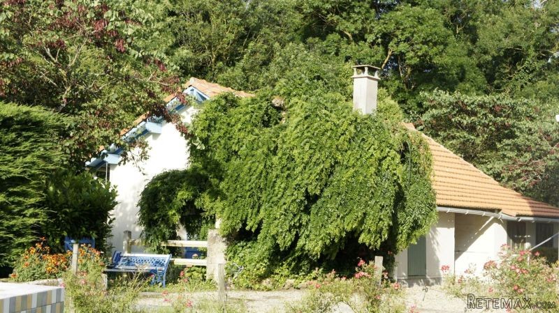 Sale Farm Complex Royan (17200) - 2